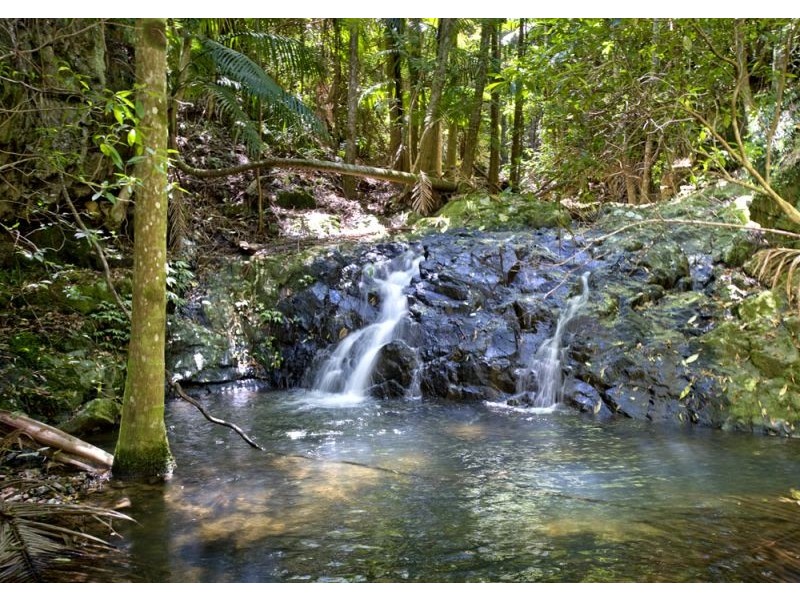 417 Fridays Creek Road, Upper Orara NSW 2450