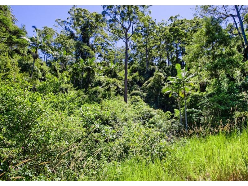 417 Fridays Creek Road, Upper Orara NSW 2450