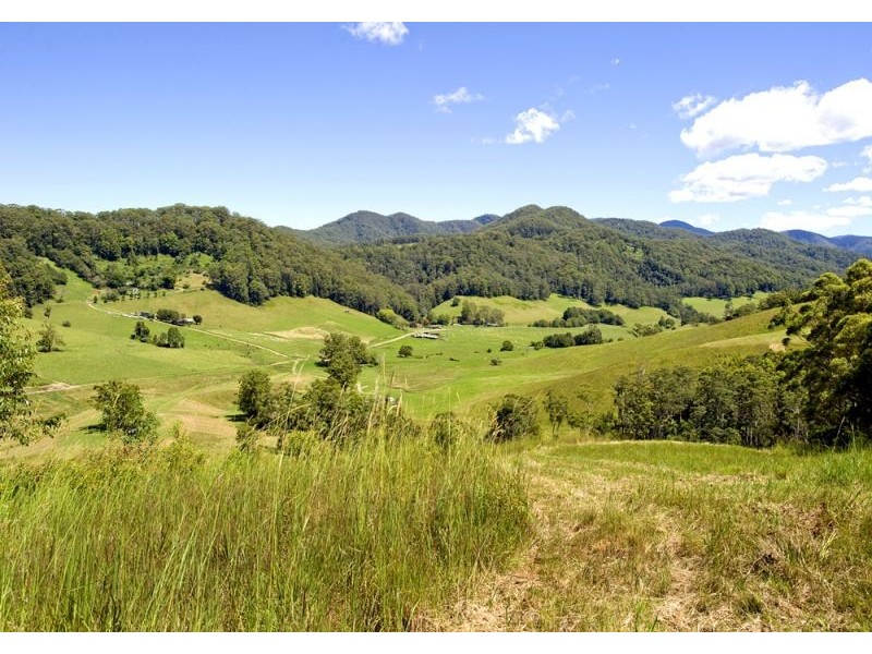 417 Fridays Creek Road, Upper Orara NSW 2450