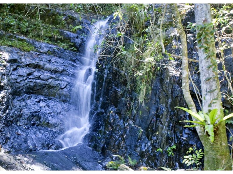 417 Fridays Creek Road, Upper Orara NSW 2450