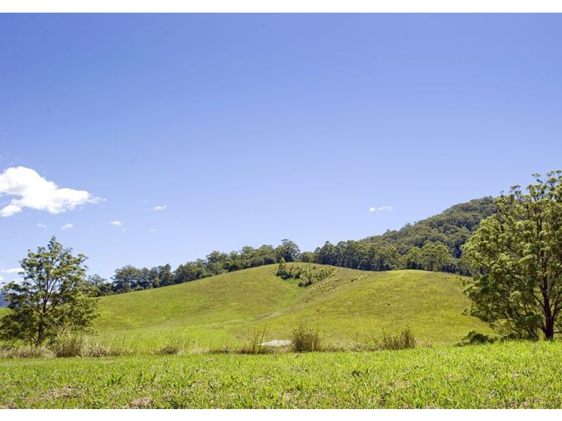 417 Fridays Creek Road, Upper Orara NSW 2450