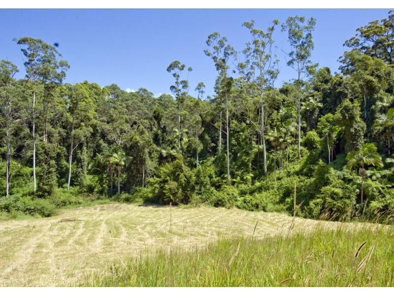 417 Fridays Creek Road, Upper Orara NSW 2450
