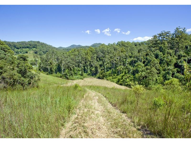 417 Fridays Creek Road, Upper Orara NSW 2450
