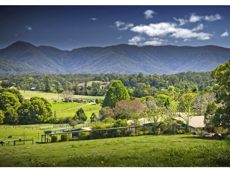 Bellingen NSW 2454