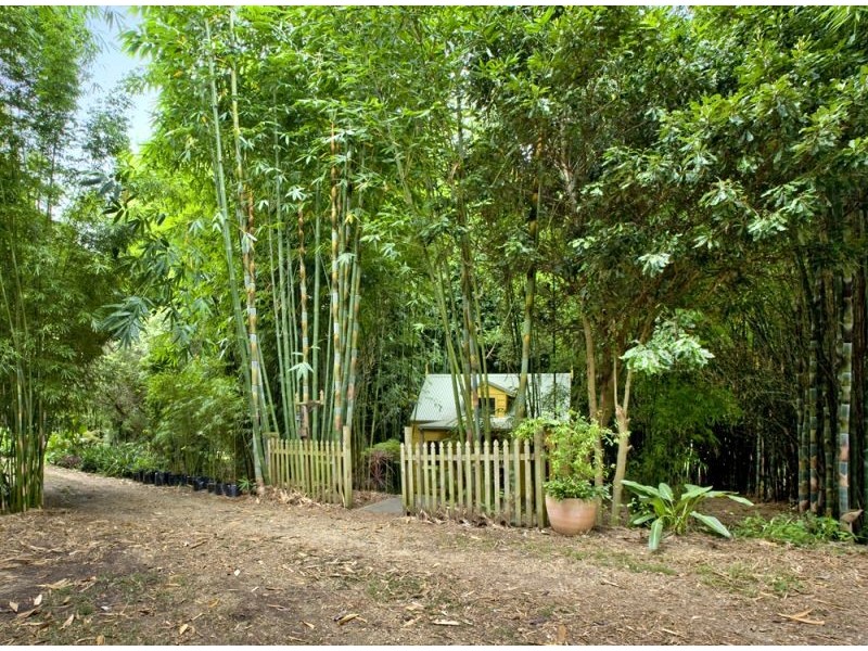 188 Bellingen Road, Missabotti NSW 2449