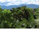 2 Evans Street, Bellingen NSW 2454