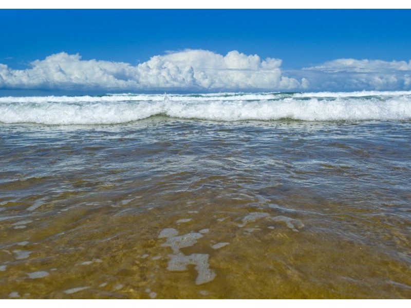 Coffs Harbour NSW 2450