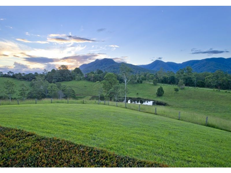490 Roses Road, Bellingen NSW 2454