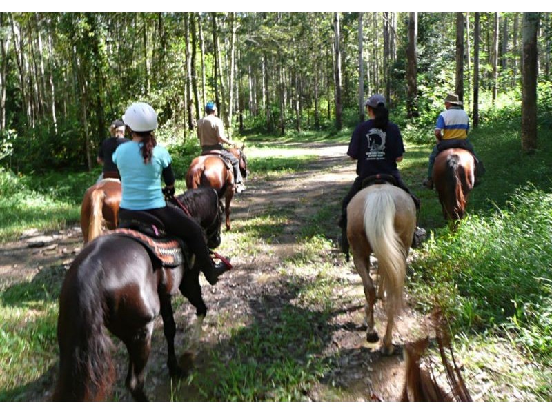 Upper Orara NSW 2450