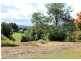Bellingen NSW 2454