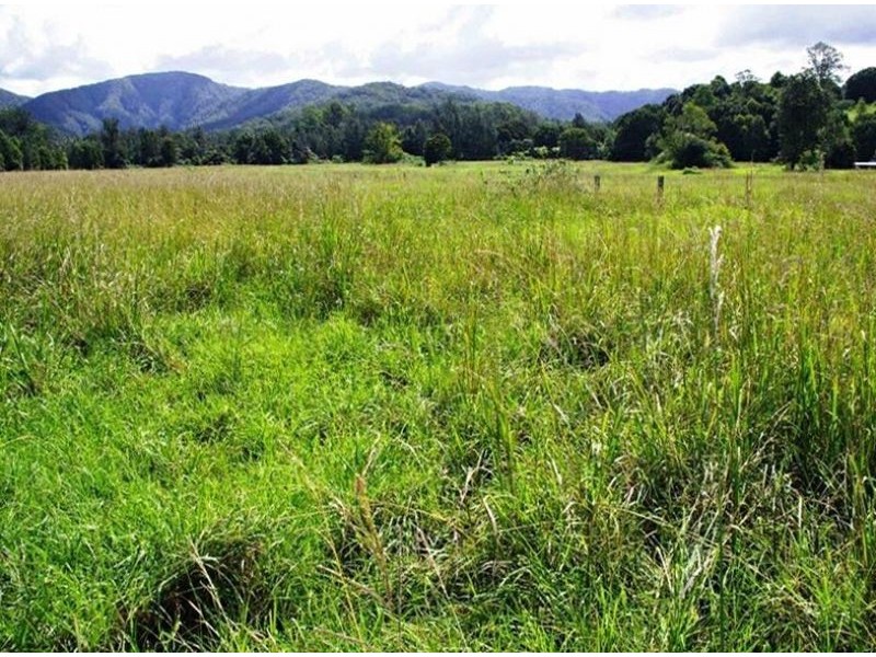 339 Dairyville Road, Upper Orara NSW 2450