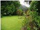 339 Dairyville Road, Upper Orara NSW 2450