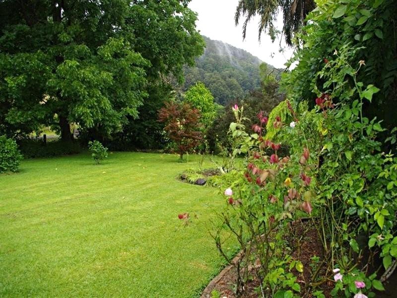 339 Dairyville Road, Upper Orara NSW 2450