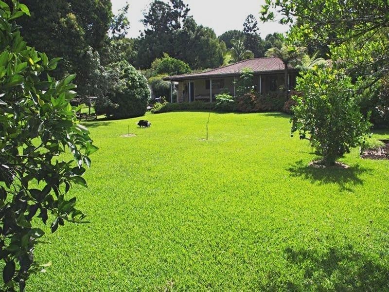 339 Dairyville Road, Upper Orara NSW 2450