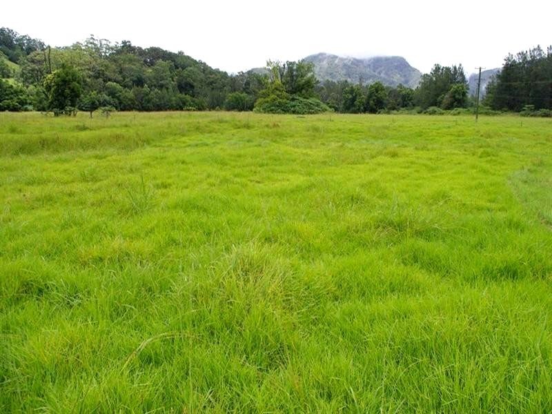 339 Dairyville Road, Upper Orara NSW 2450