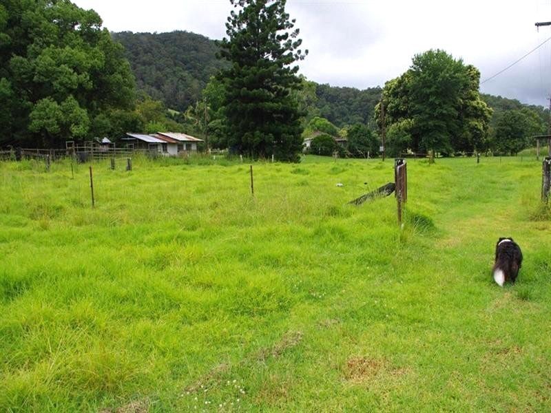 339 Dairyville Road, Upper Orara NSW 2450