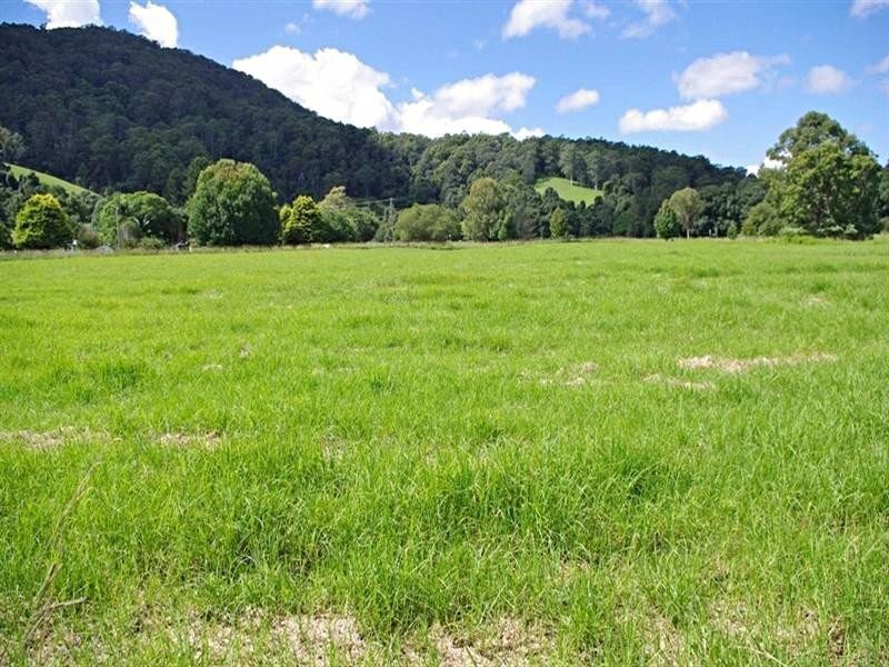 339 Dairyville Road, Upper Orara NSW 2450