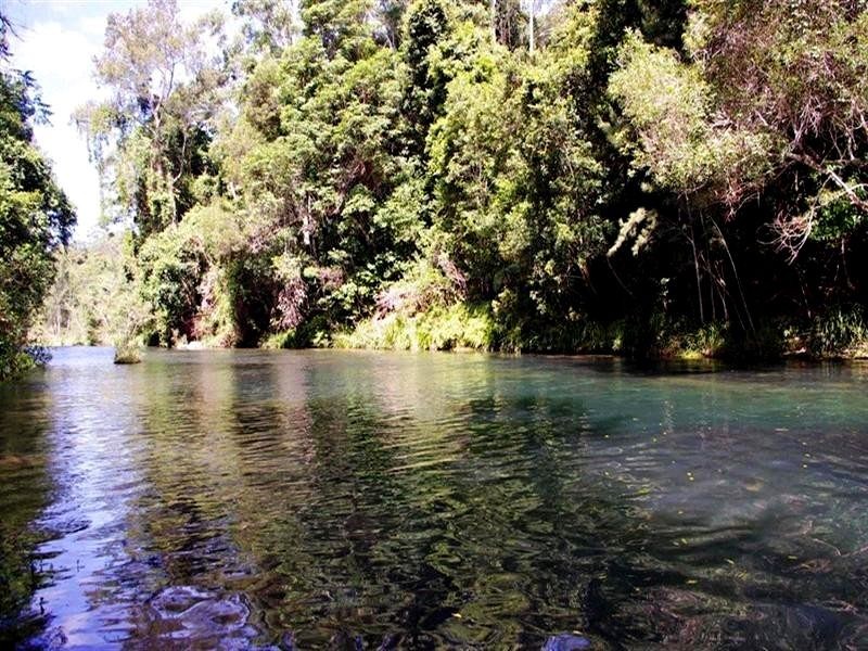 339 Dairyville Road, Upper Orara NSW 2450