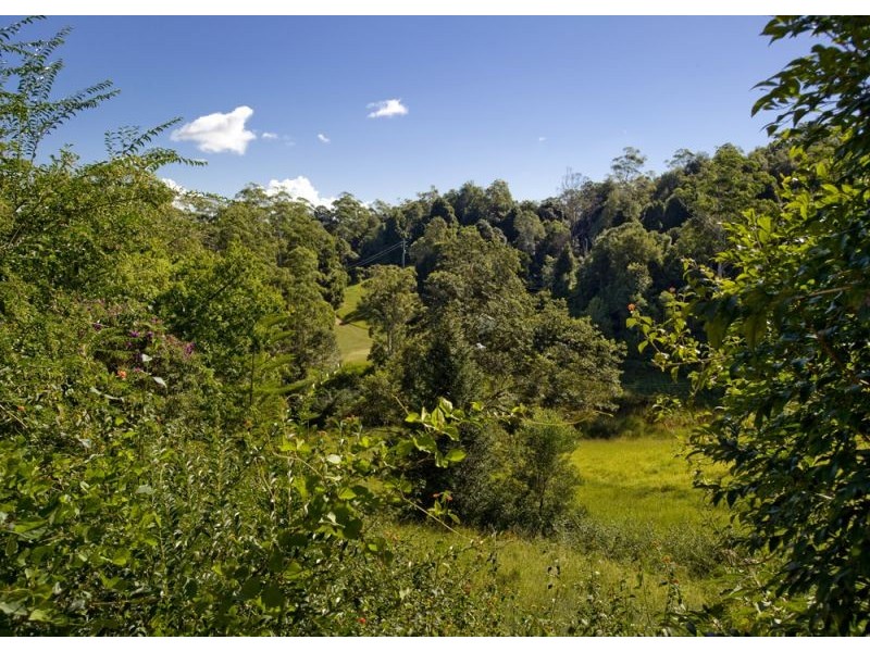 14 Rigney Road, Bellingen NSW 2454