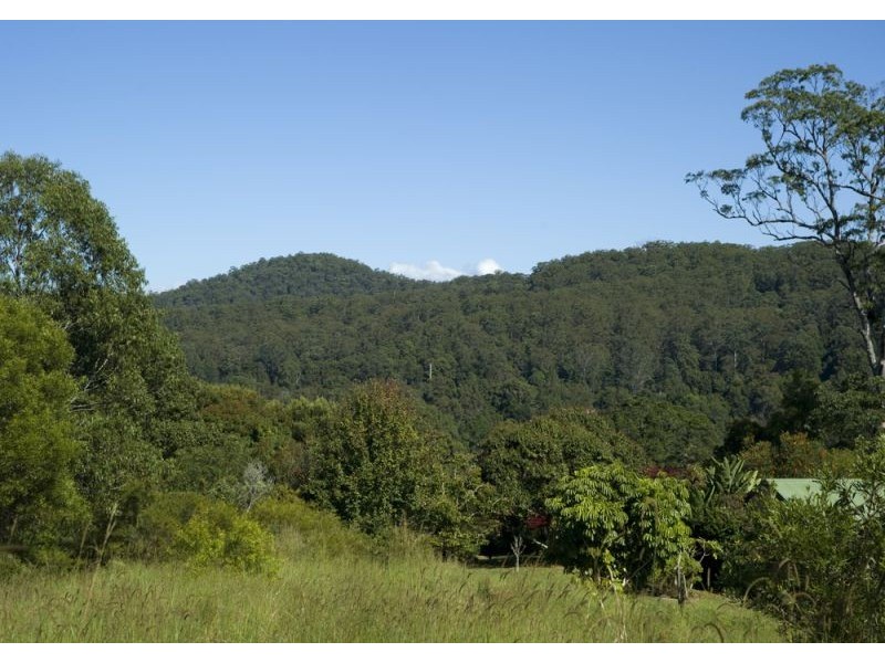 14 Rigney Road, Bellingen NSW 2454