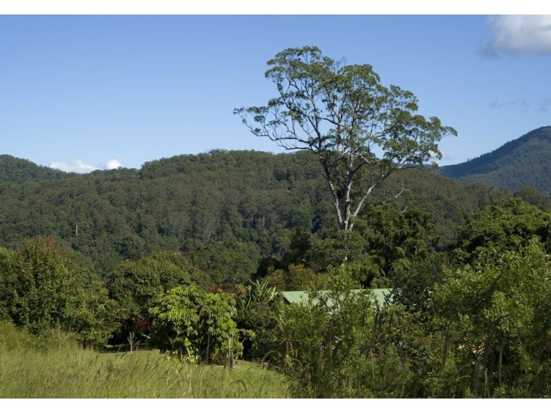 14 Rigney Road, Bellingen NSW 2454