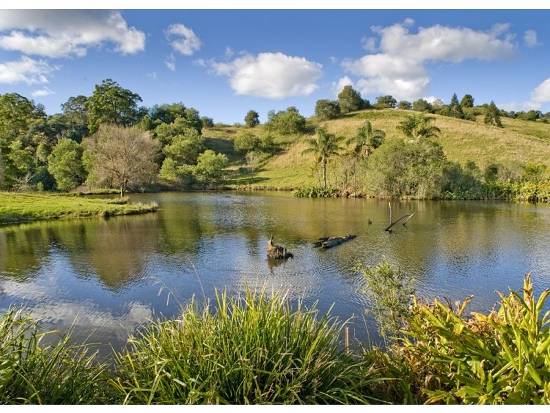 1026 North Arm Road, Argents Hill NSW 2449