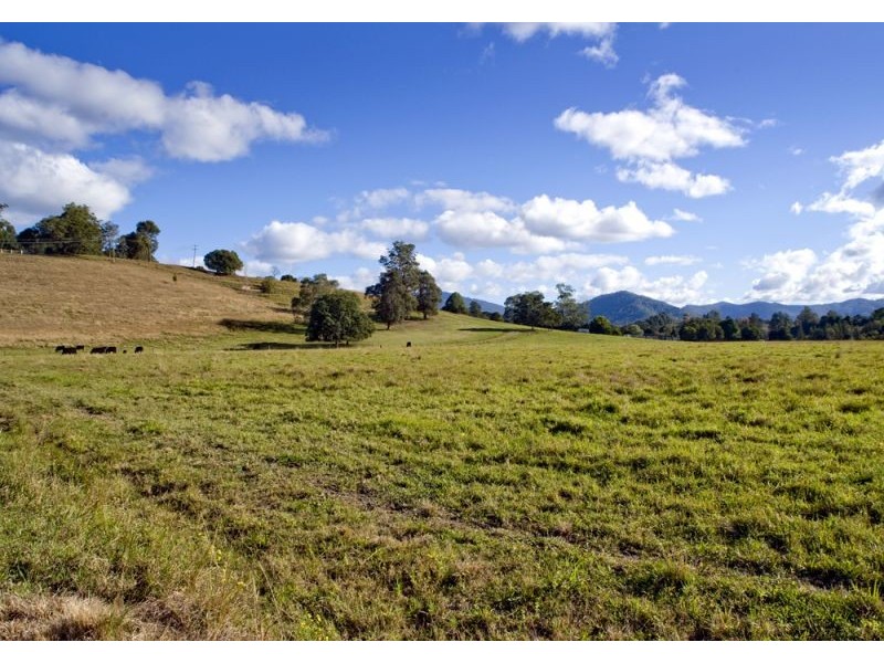 1026 North Arm Road, Argents Hill NSW 2449