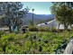1165 Darkwood Road, Thora, Bellingen NSW 2454