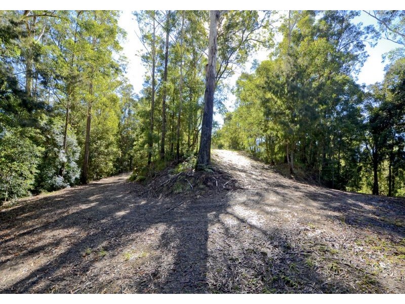 1165 Darkwood Road, Thora, Bellingen NSW 2454