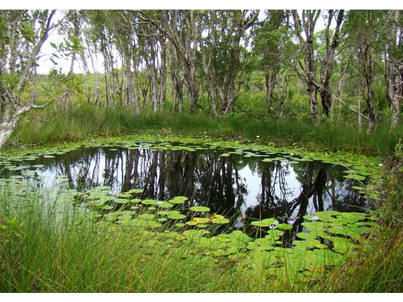 Coffs Harbour NSW 2450