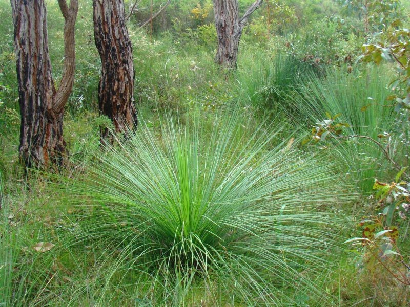 Coffs Harbour NSW 2450