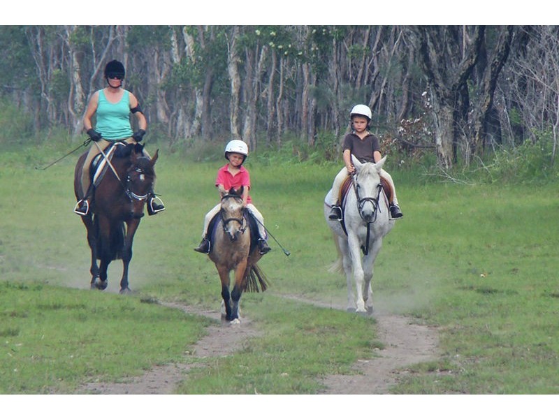 Coffs Harbour NSW 2450