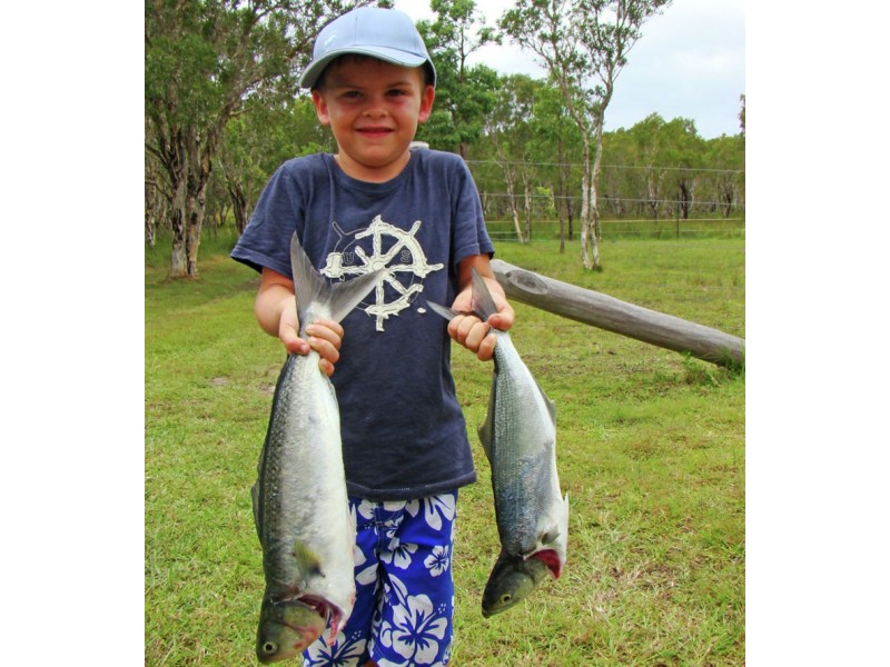 Coffs Harbour NSW 2450