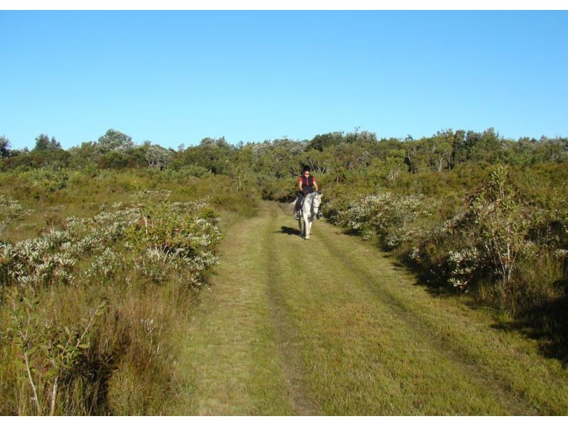 Coffs Harbour NSW 2450