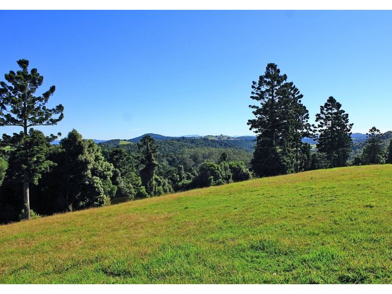 397 Slingsbys Road, Megan, Dorrigo NSW 2453