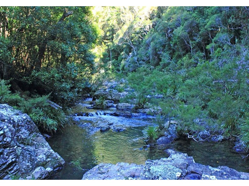 397 Slingsbys Road, Megan, Dorrigo NSW 2453