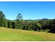 397 Slingsbys Road, Megan, Dorrigo NSW 2453