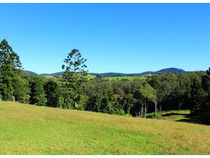 397 Slingsbys Road, Megan, Dorrigo NSW 2453