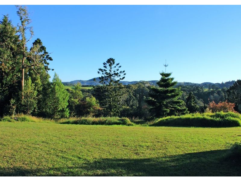 397 Slingsbys Road, Megan, Dorrigo NSW 2453