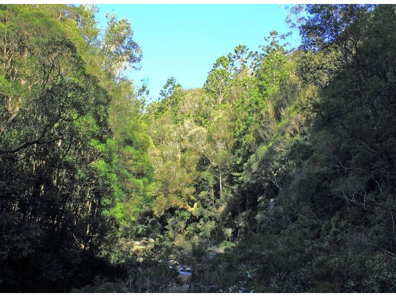 397 Slingsbys Road, Megan, Dorrigo NSW 2453