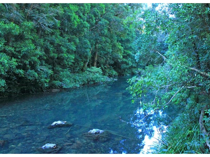 397 Slingsbys Road, Megan, Dorrigo NSW 2453