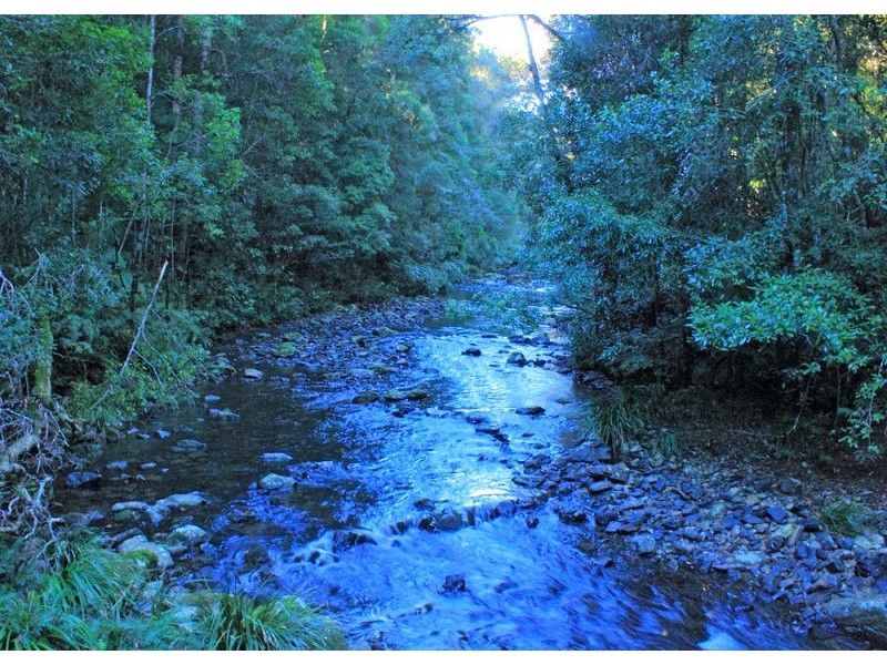 397 Slingsbys Road, Megan, Dorrigo NSW 2453