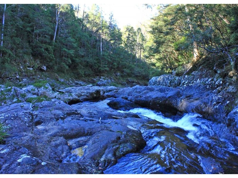 397 Slingsbys Road, Megan, Dorrigo NSW 2453