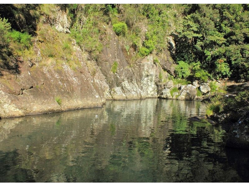 397 Slingsbys Road, Megan, Dorrigo NSW 2453