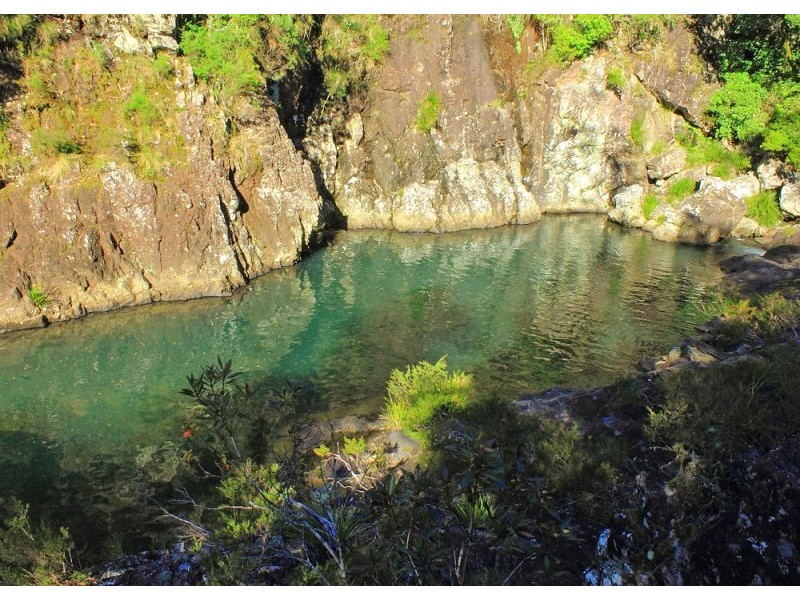 397 Slingsbys Road, Megan, Dorrigo NSW 2453