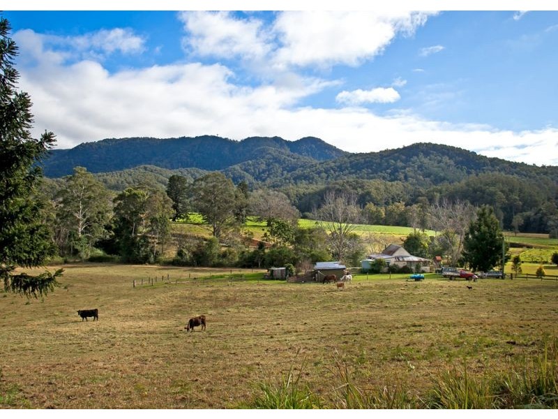 275 Darkwood Road, Bellingen NSW 2454