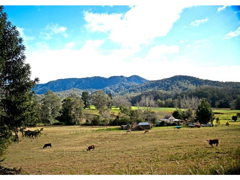 275 Darkwood Road, Bellingen NSW 2454