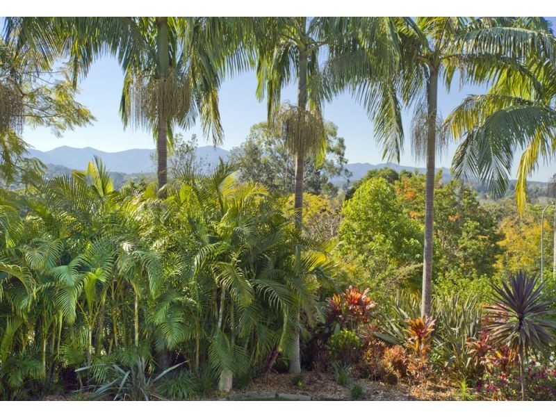 14 Endeavour Drive, Bellingen NSW 2454