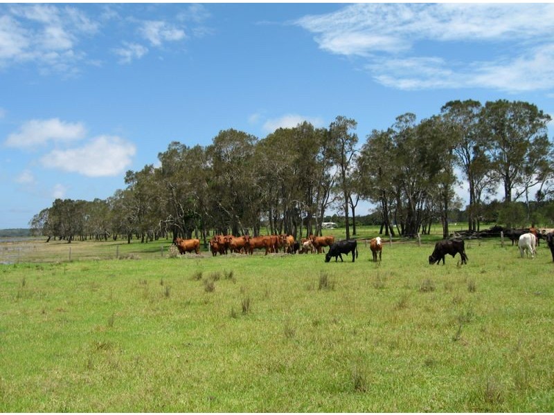 716 North Bank Road, Palmers Island NSW 2463