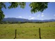 Bellingen NSW 2454